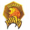 IPL 2017 | Gujarat Lions Squad