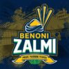 Benoni Zalmi Logo Launched in Benoni High School