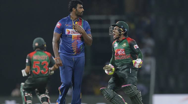 Mushfiqur heroics