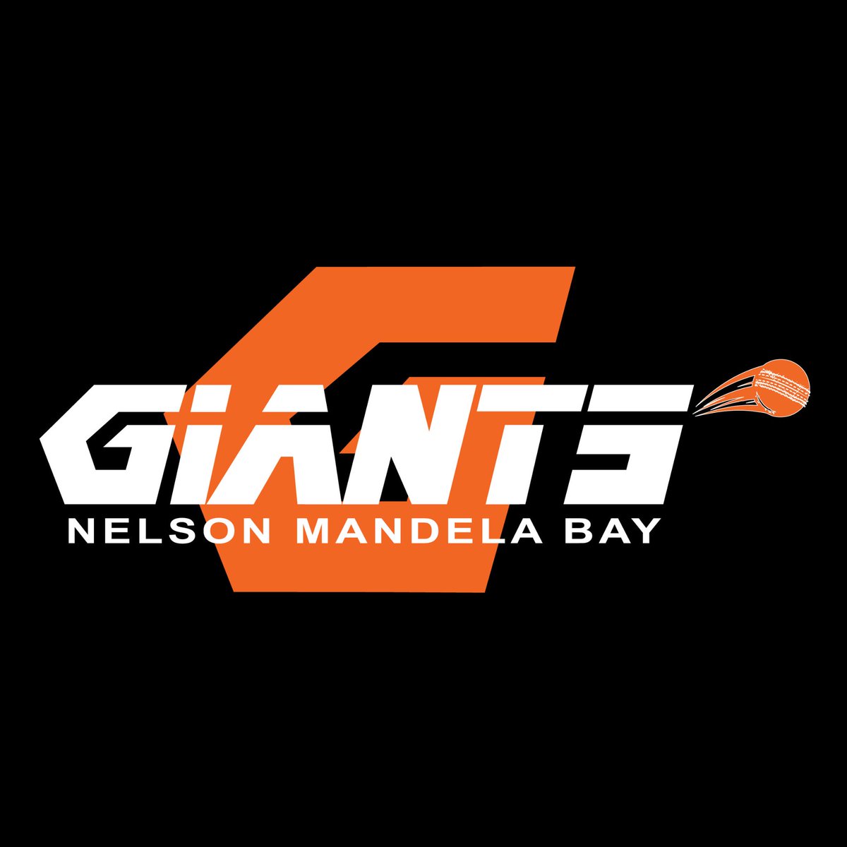 Nelson Mandela Bay Giants Squad