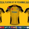 Peshawar Zalmi jersey revealed by Daren Sammy himself