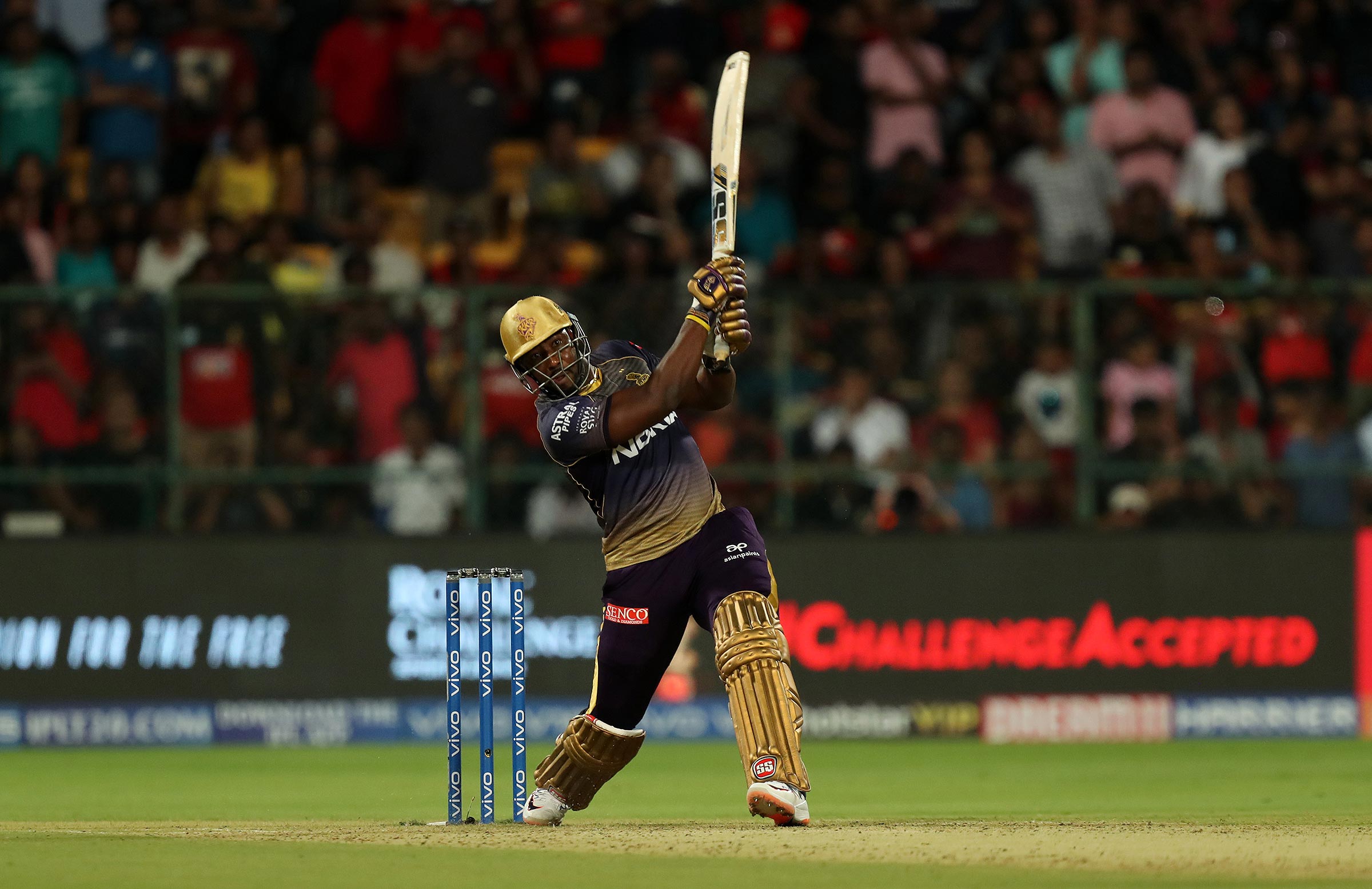 Royal Challengers out of the title race