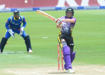 CSA T20 Challenge Dolphins vs Knights Match Preview