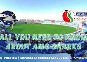Shpageeza Cricket League All you need to know about Amo Sharks