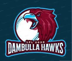 Dambulla Hawks Squad for Lanka Premier League 2020