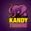 Kandy Tuskers Squad for Lanka Premier League 2020