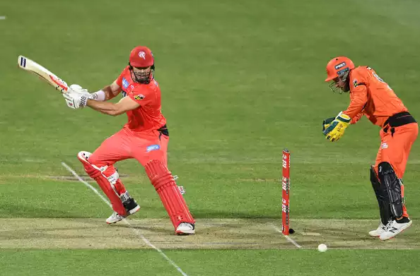 Renegades outclass Scorchers in the BBL game