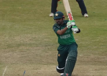 Social Media Reactions: Babar Azam wins hearts with terrific innings against the Netherlands