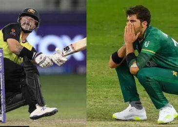 Social Media Reactions: ‘Shaheen vs Wade’ trends after Karachi Kings pick Australian player