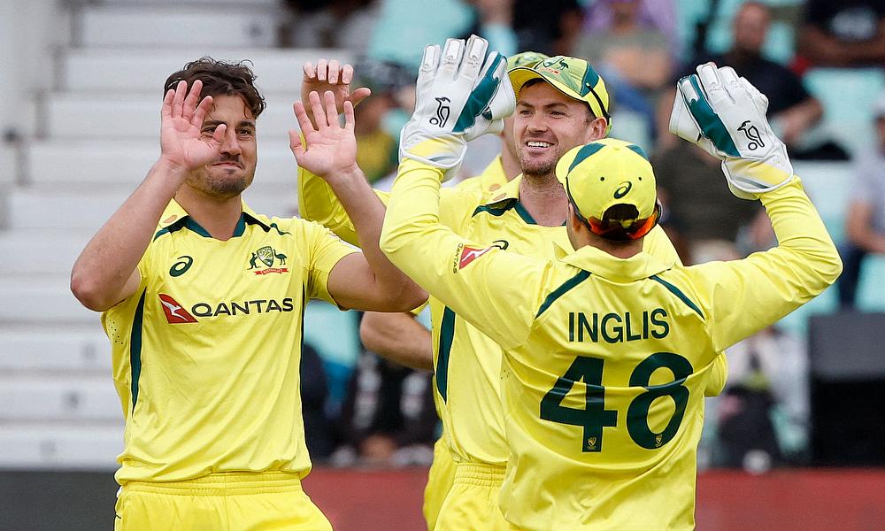 Australia cruise to 3-0 series sweep over South Africa with 5 wicket win in 3rd T20I