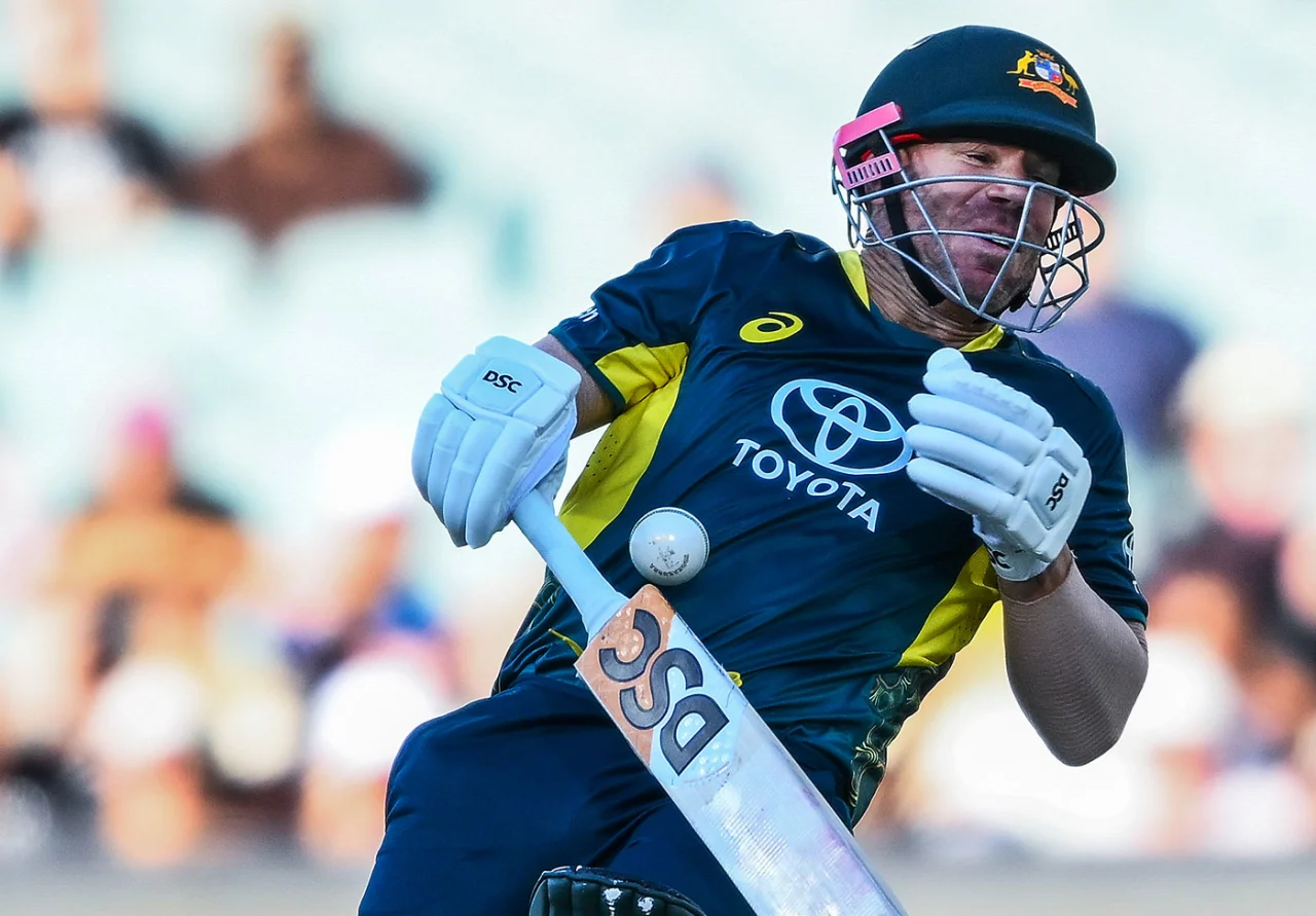David Warner